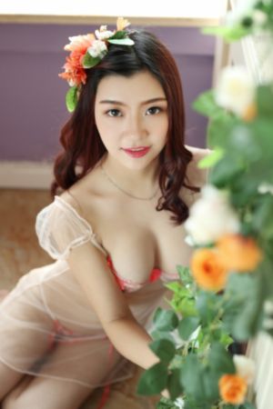 最新欧美历史战争电影_BD韩语在线观看电视